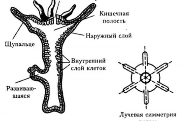 Официальный сайт кракен тор