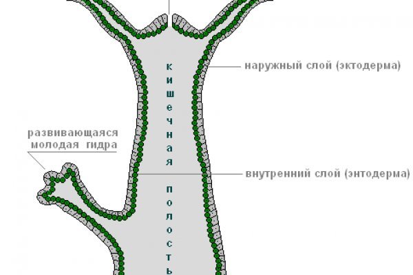 Кракен ссылка 2 веб