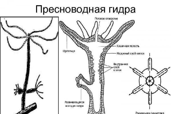 Кракен сайт ссылка онлайн