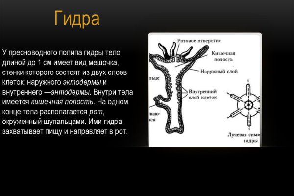 Кракен ат сайт