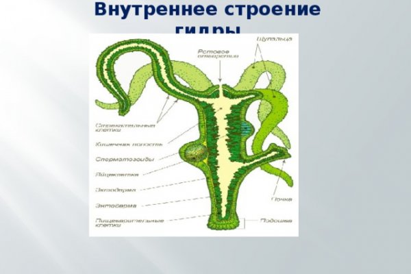 Кракен даркнет поддержка