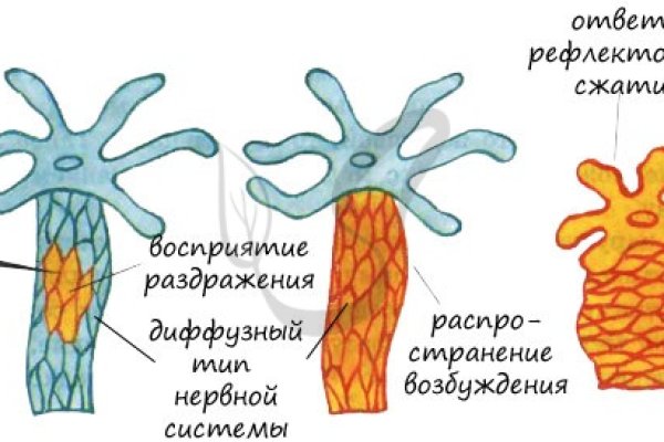 Кракен наркоплейс